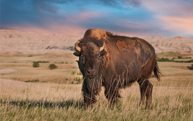 Photogenic Places – A Simple Guide To Photographing Badlands National Park