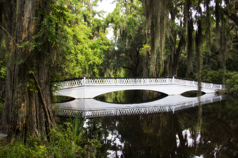 photographing-charleston