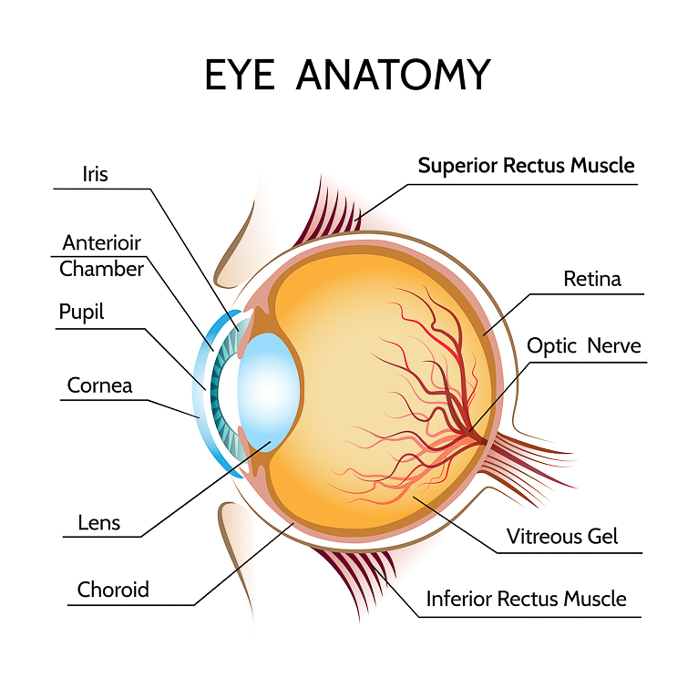 Eye_vs_Camera