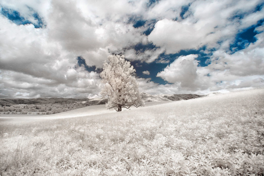 10 Tips for getting better Infrared Landscapes - Infrared Conversions ...