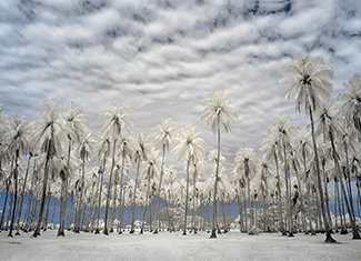 10 Tips for getting better Infrared Landscapes