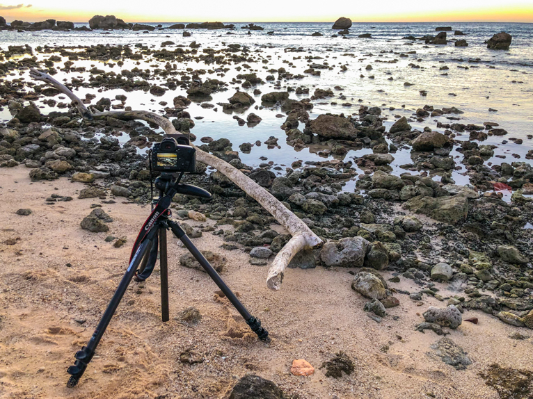 Focus_Stacking