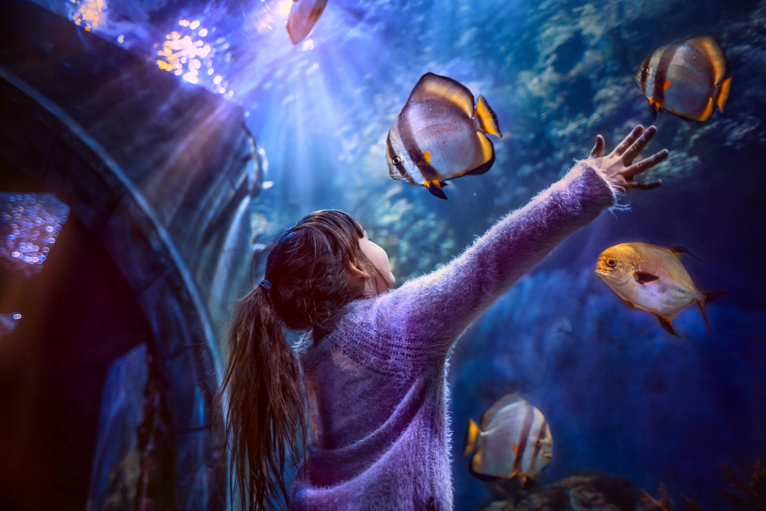 Photographing_Aquariums