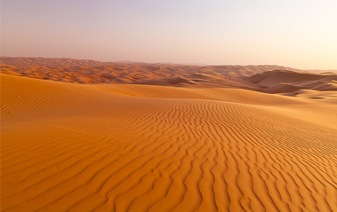 6 Beginner Tips For Photographing Sand Dunes