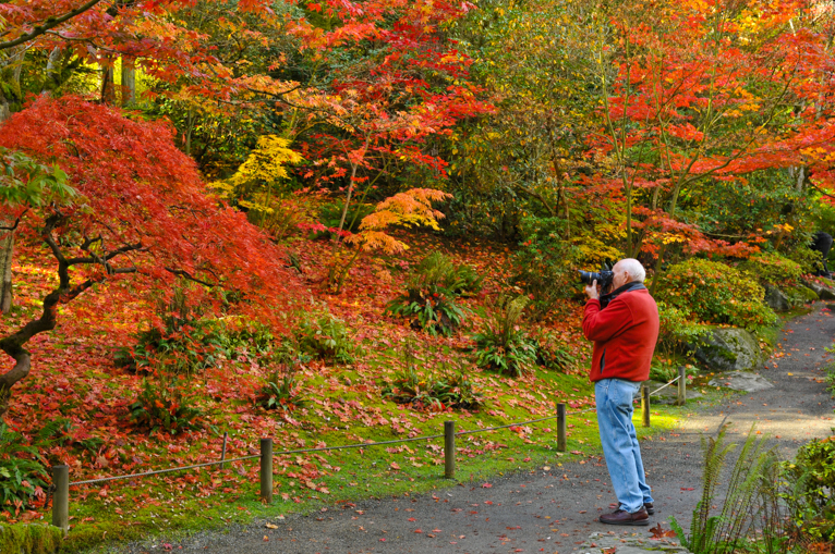 photographing local parks