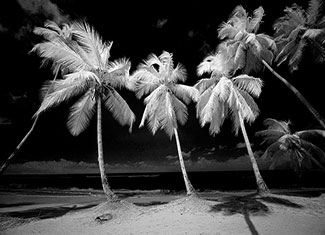 3 Steps to a Black & White Infrared Image