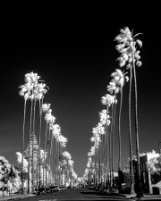 ali-zandi-infrared-gallery-16