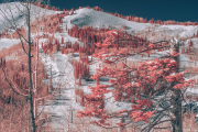 bradley-munkowitz-infrared-gallery-13