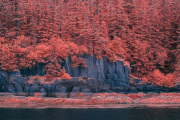 bradley-munkowitz-infrared-gallery-17