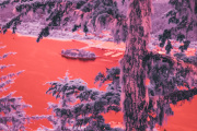 bradley-munkowitz-infrared-gallery-20