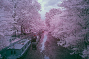 bradley-munkowitz-infrared-gallery-27