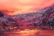 bradley-munkowitz-infrared-gallery-3