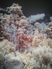 byron-capo-infrared-gallery-10