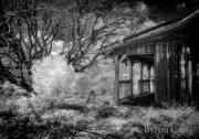 byron-capo-infrared-gallery-11