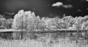 byron-capo-infrared-gallery-14
