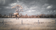 byron-capo-infrared-gallery-15