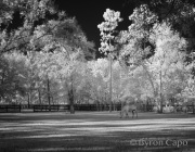 byron-capo-infrared-gallery-16