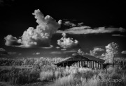 byron-capo-infrared-gallery-17