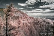 byron-capo-infrared-gallery-22