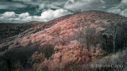 byron-capo-infrared-gallery-23