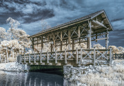 byron-capo-infrared-gallery-3