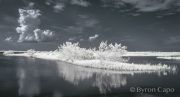 byron-capo-infrared-gallery-4