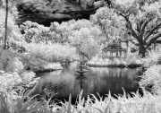 byron-capo-infrared-gallery-7