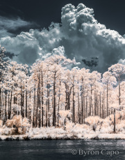 byron-capo-infrared-gallery-9