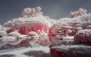 christopher-vogt-infrared-gallery-1