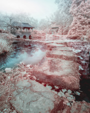 christopher-vogt-infrared-gallery-3