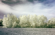 craig-dearing-infrared-gallery-12