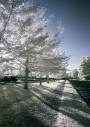 craig-dearing-infrared-gallery-18