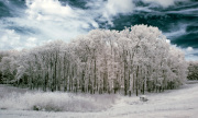 craig-dearing-infrared-gallery-20