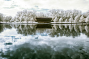 craig-dearing-infrared-gallery-22