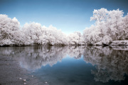 craig-dearing-infrared-gallery-23