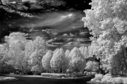 dinesh-chitlangia-infrared-gallery-4