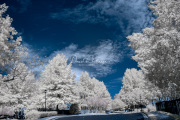 dinesh-chitlangia-infrared-gallery-6