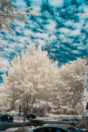 dinesh-chitlangia-infrared-gallery-7