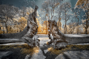 glauco-meneghelli-infrared-gallery-3