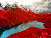 Peyto-Lake-Red-Trees