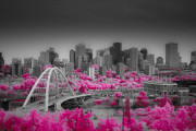 justin-percy-infrared-gallery-8