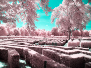 kyle-klein-infrared-gallery-6