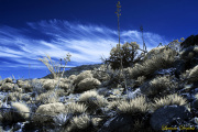 09_THE_SILENT_DESERT_SNOW_12X18