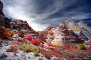 DAY_04_SOUTH_COYOTE_BUTTES (104)_COMPOSITION