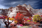 DAY_04_SOUTH_COYOTE_BUTTES (107)_COMPOSITION