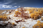 DAY_04_SOUTH_COYOTE_BUTTES (122)_FINAL_01