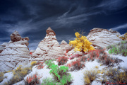 DAY_04_SOUTH_COYOTE_BUTTES (34)_COMPOSITION