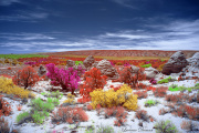 DAY_04_SOUTH_COYOTE_BUTTES (54)_COMPOSITION