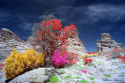 DAY_04_SOUTH_COYOTE_BUTTES (64)_COMPOSITION