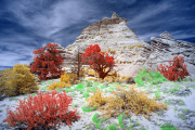 DAY_04_SOUTH_COYOTE_BUTTES (71)_COMPOSITION_03